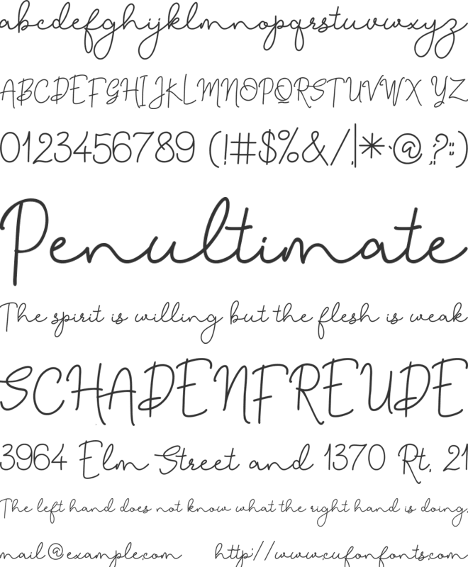 Diaseli Signature font preview