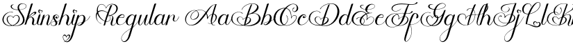 Skinship Regular font