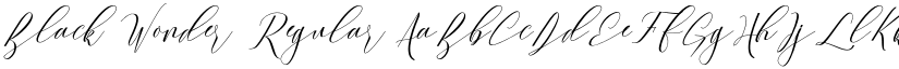 Black Wonder Regular font