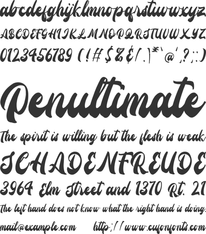 Bidline font preview