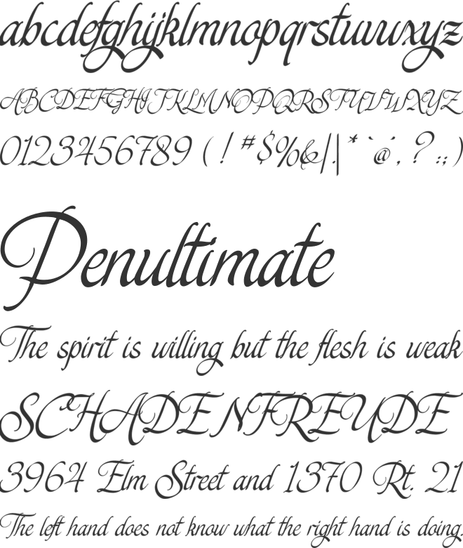 The Bride in Hacienda font preview