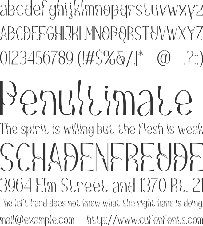 Melon Qatar font preview