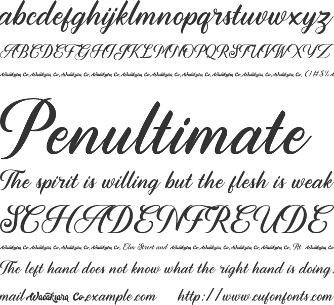 Houseback font preview