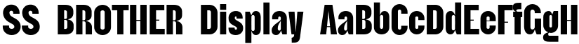 SS BROTHER font download