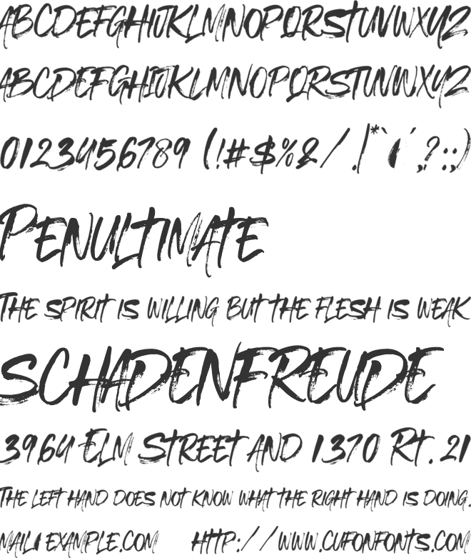 Wild Favour font preview