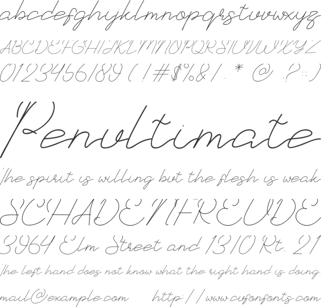 Suttell Script font preview