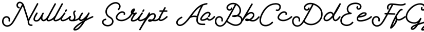 Nullisy Script font