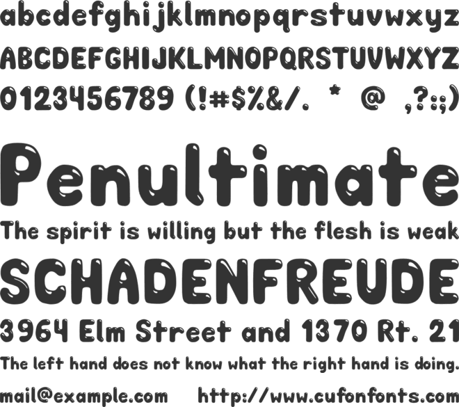 FlippinFont font preview