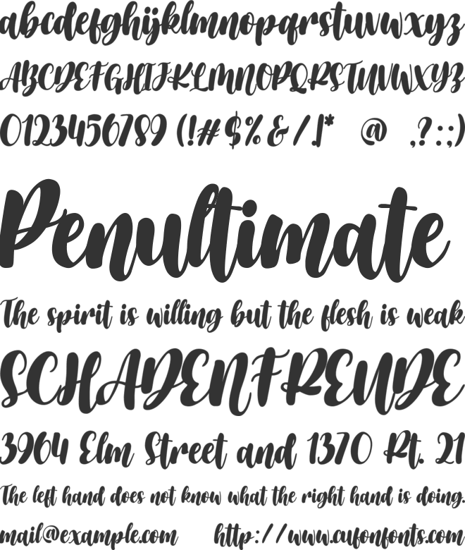 Carmitta font preview