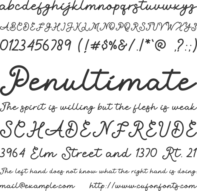 Talking Nice font preview