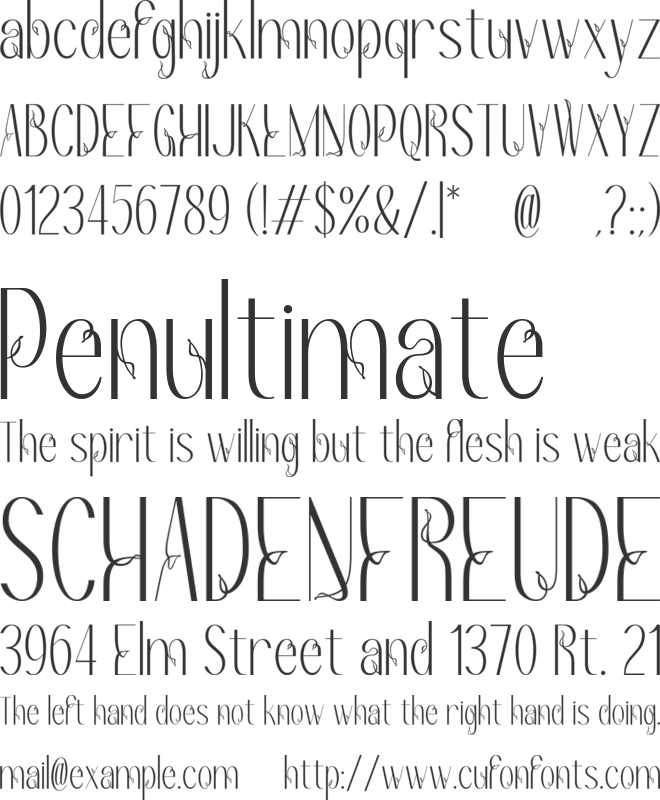Redivola font preview