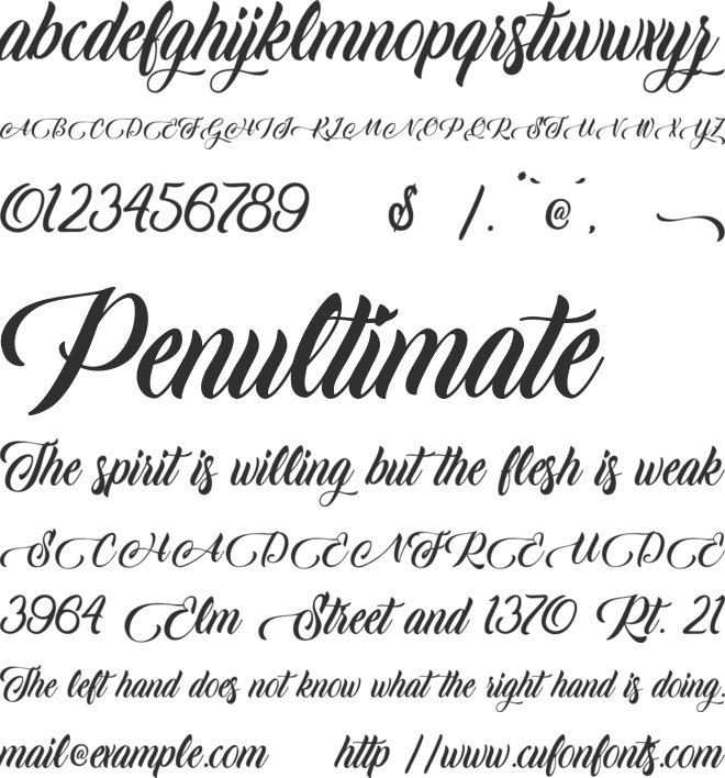 Candle Mustard font preview