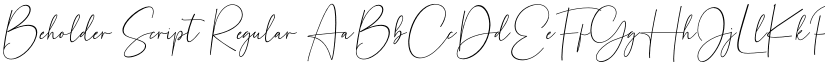 Beholder Script font download