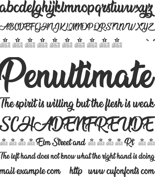 Flower Power Personal Use font preview
