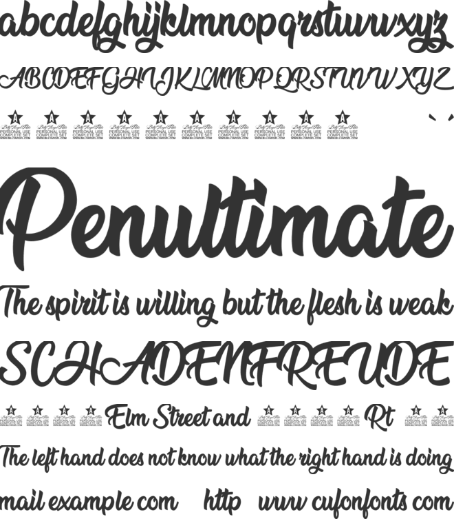 Flower Power Personal Use font preview