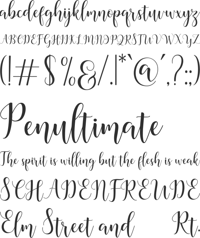 Madelina Script font preview