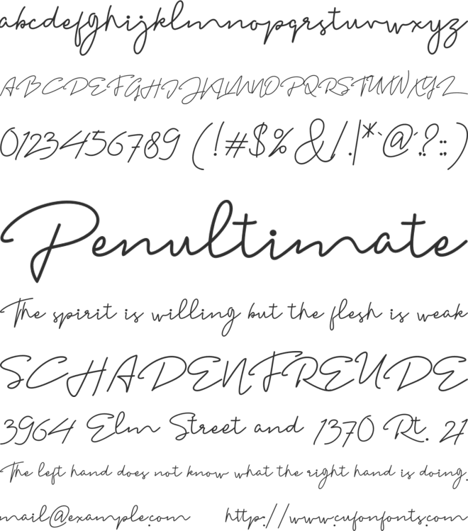 Madelon Script font preview