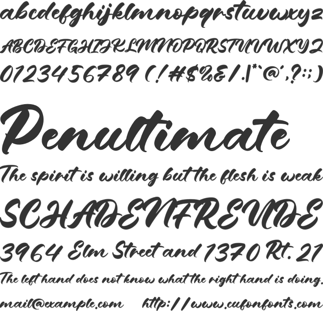 Martha Hayden font preview