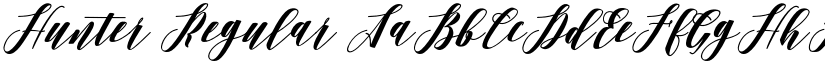 Hunter Regular font