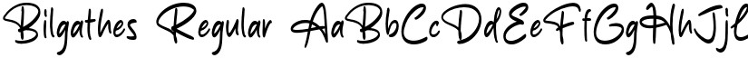 Bilgathes font download