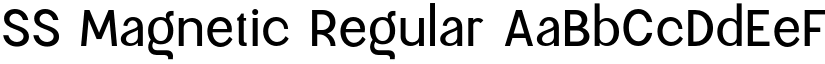 SS Magnetic Regular font