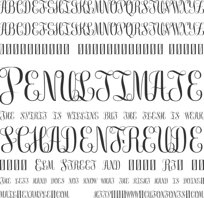 Free Monogram Beta font preview