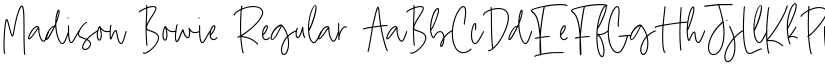 Madison Bowie Regular font