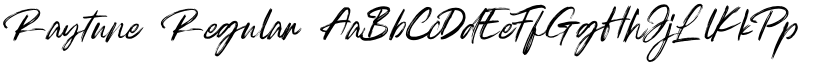 Raytune font download
