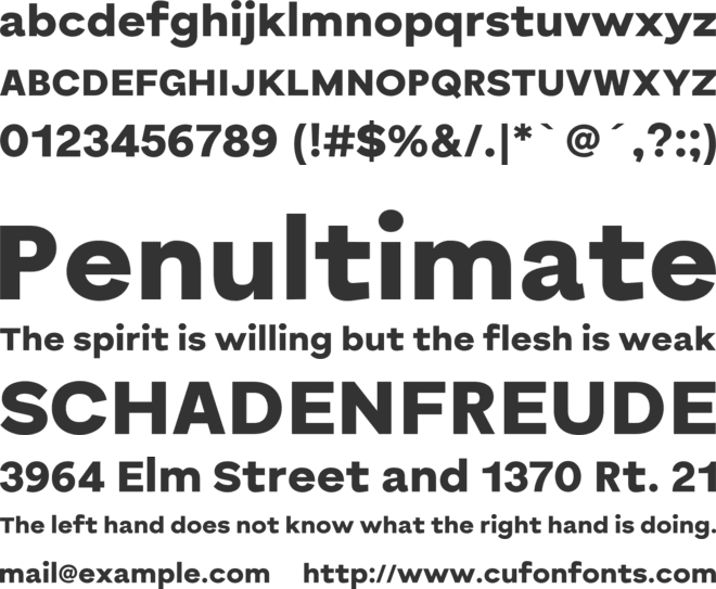 Bornia Sans font preview