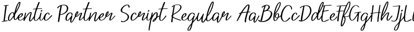 Identic Partner Script Regular font