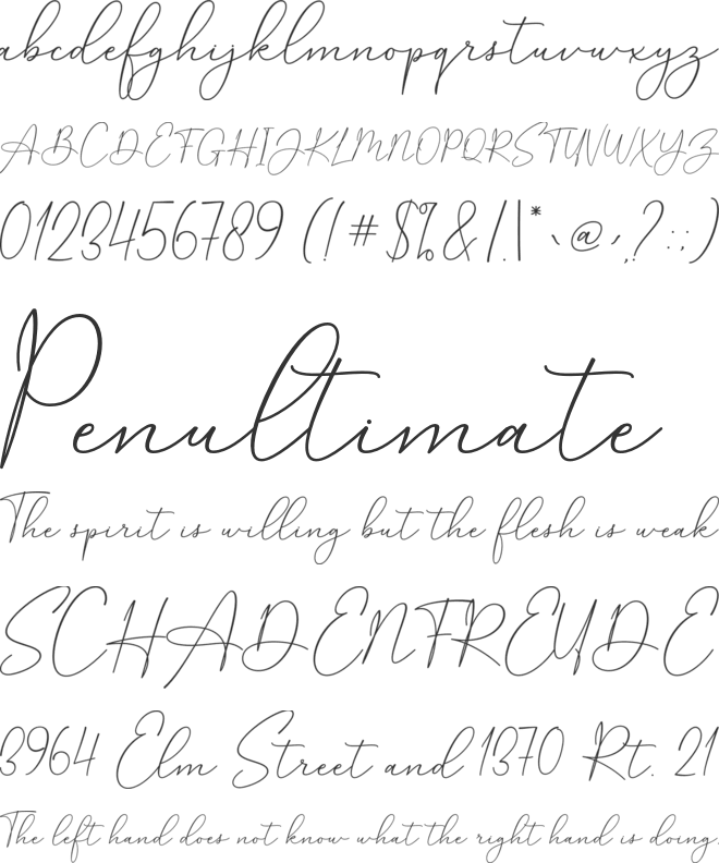 Salenta font preview