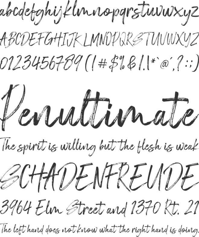 Estebak font preview