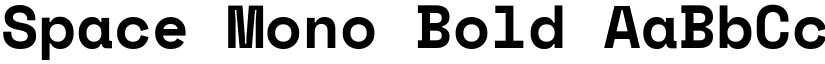 Space Mono Bold font