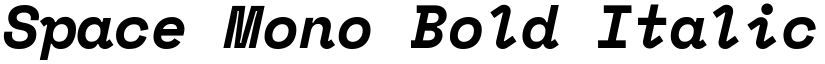 Space Mono Bold Italic font