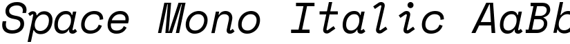 Space Mono Italic font