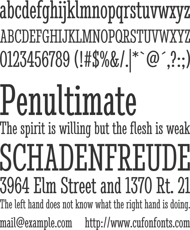 Stint Ultra Condensed font preview