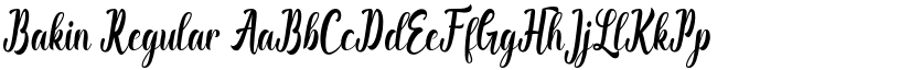 Bakin Regular font