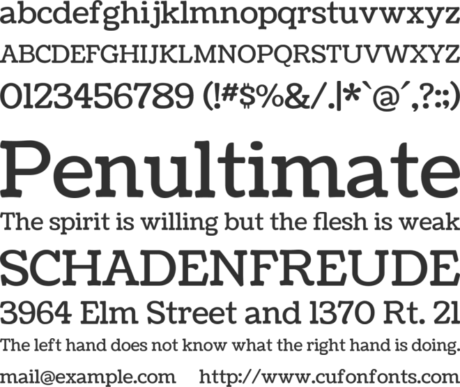 Coustard font preview