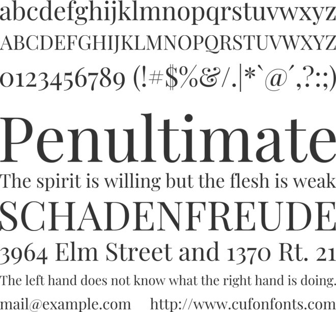 Playfair Display font preview