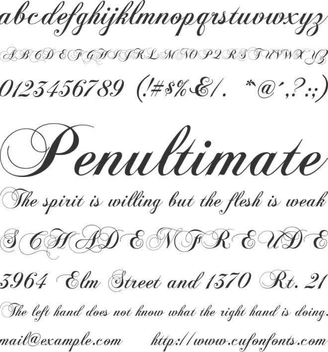 Chopin Script font preview