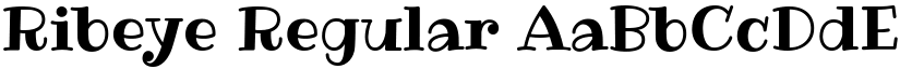 Ribeye Regular font