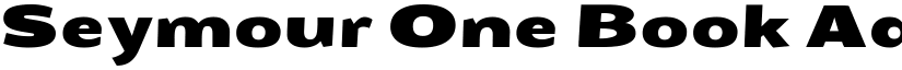 Seymour One Book font