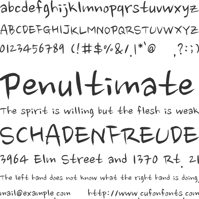 Nanum Brush Script font preview