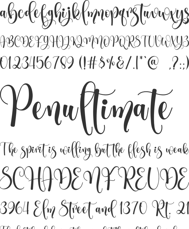 Thankstory font preview