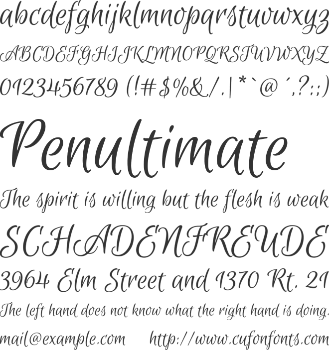 Euphoria Script font preview