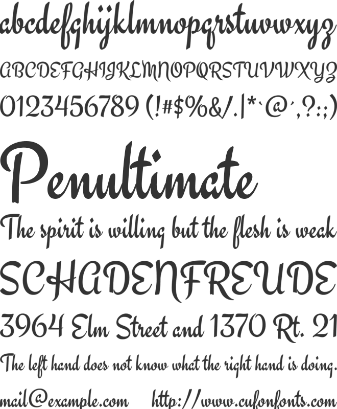 Engagement font preview