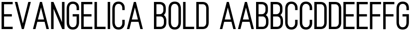 Evangelica Bold font