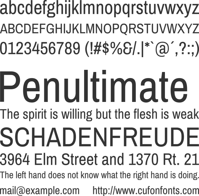 Pragati Narrow font preview