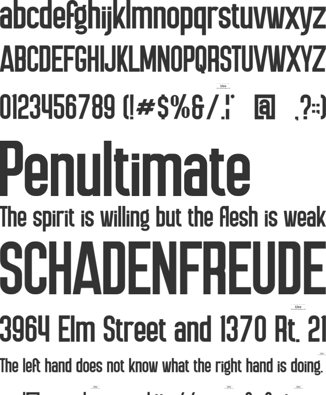 Relonity font preview