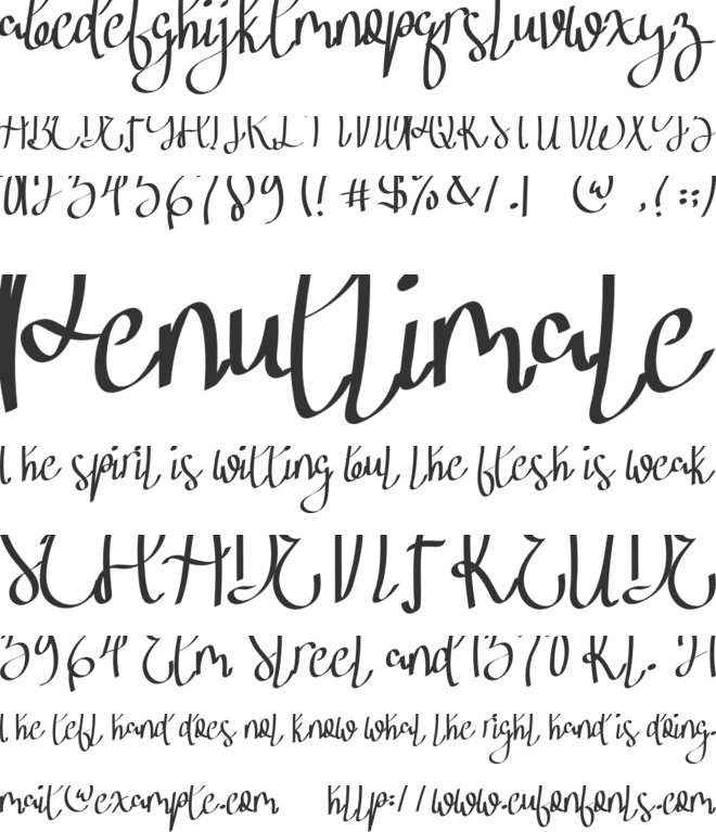 Beish Smile font preview